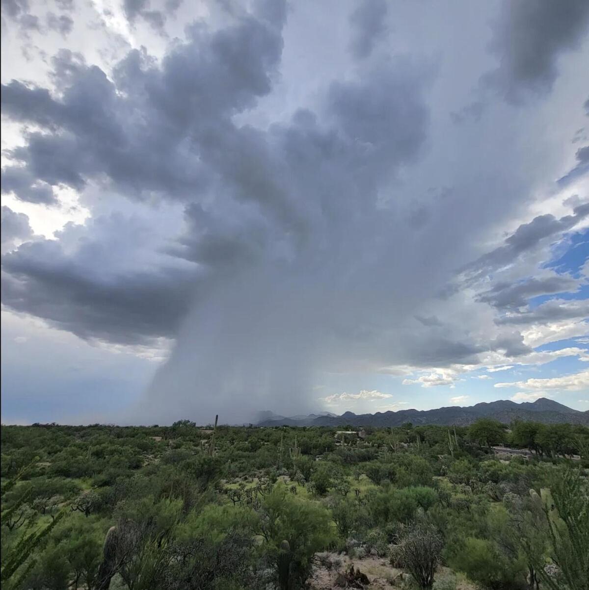 Luxury 3Bd 2Ba Home Near Tucson With Desert Views - Low Summer Rates! Oro Valley Eksteriør billede