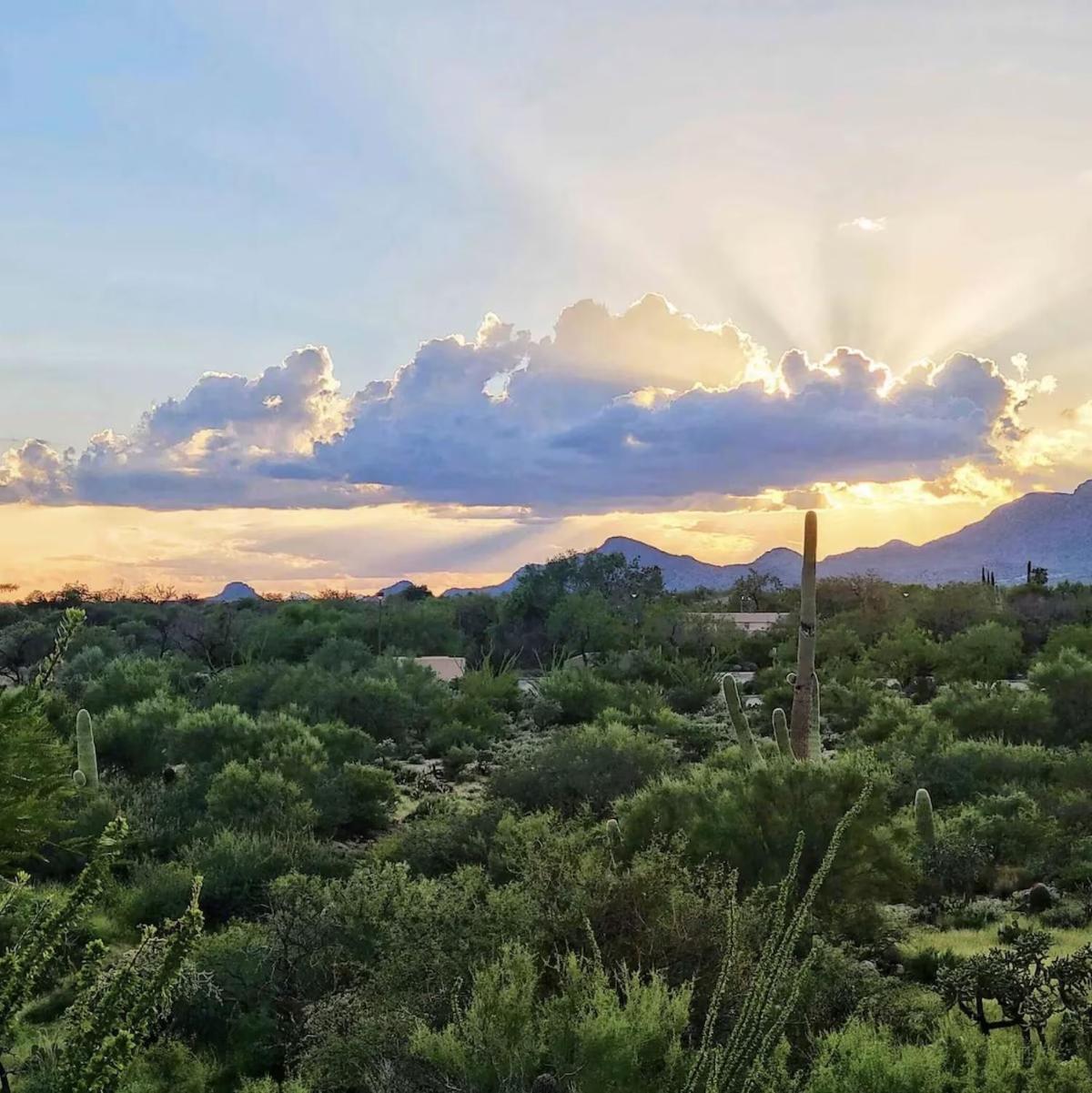 Luxury 3Bd 2Ba Home Near Tucson With Desert Views - Low Summer Rates! Oro Valley Eksteriør billede