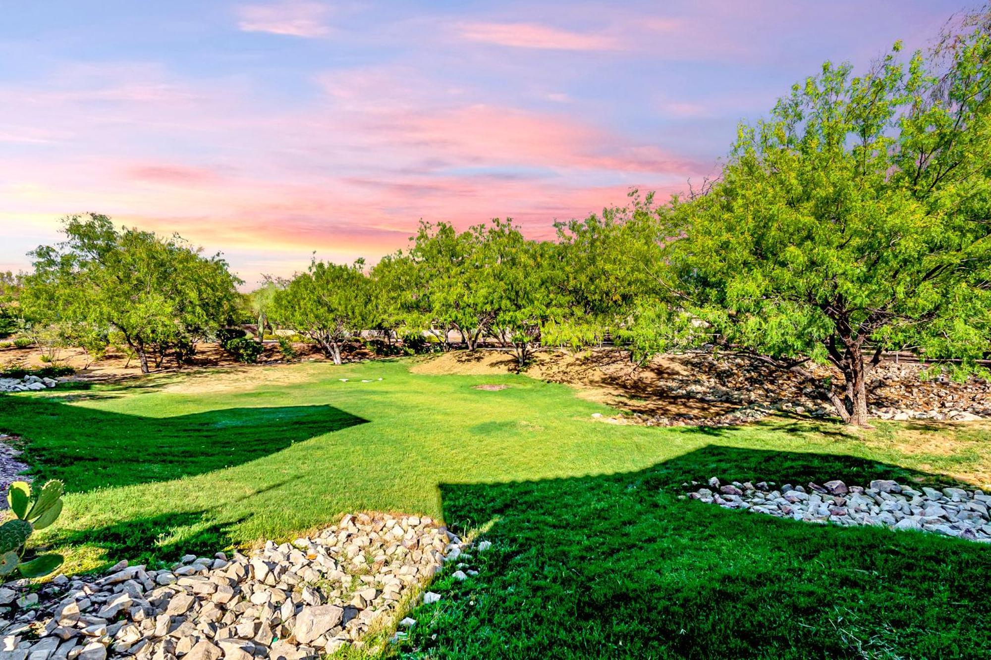 Luxury 3Bd 2Ba Home Near Tucson With Desert Views - Low Summer Rates! Oro Valley Eksteriør billede